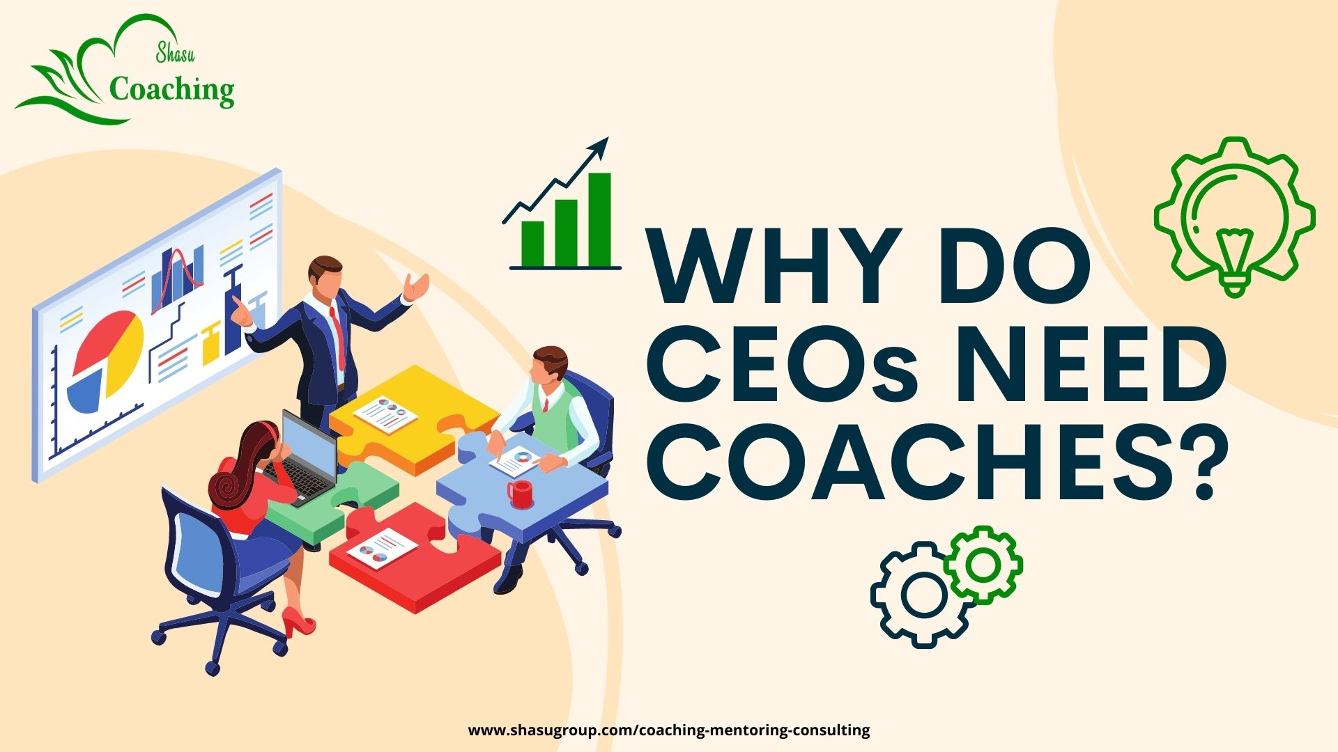 WHY DO CEOs NEED COACHING
