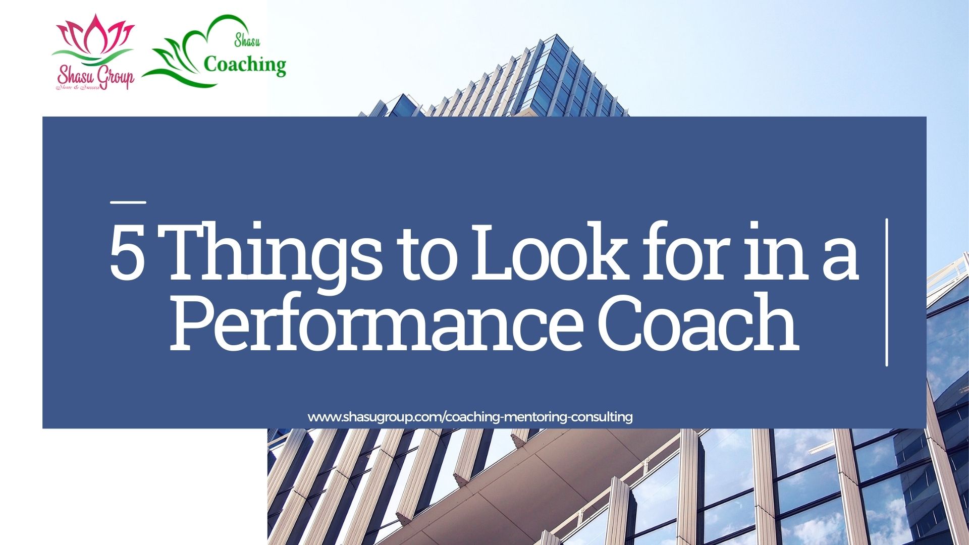 5 Things to Look for in a Performance Coaching